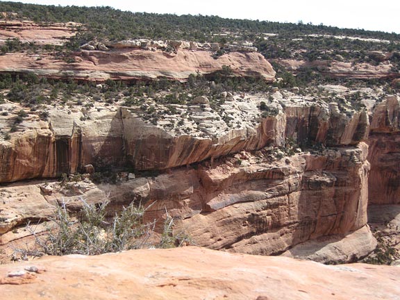 dbIMG_0552